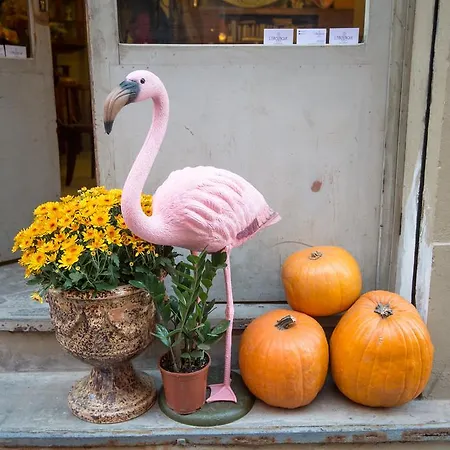 L'8 Boutique Design Apartmán