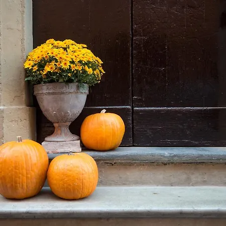 아파트 L'8 Boutique Design 볼로냐